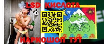 ПСИЛОЦИБИНОВЫЕ ГРИБЫ Кимры