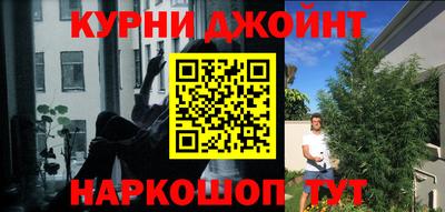 дмт Кингисепп