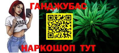 дмт Кингисепп