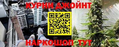 дмт Кингисепп