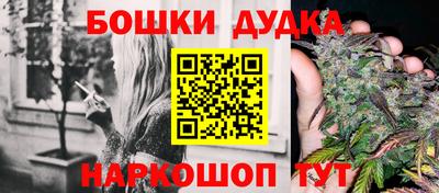 дмт Кингисепп