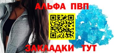 дмт Кингисепп