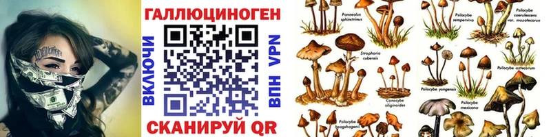 даркнет какой сайт где купить наркоту Каспийск Галлюциногенные грибы MAGIC MUSHROOMS
