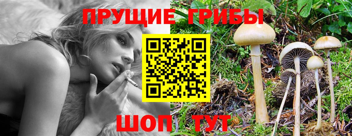 Каспийск  Псилоцибиновые грибы ЛСД  Вход с VPN 