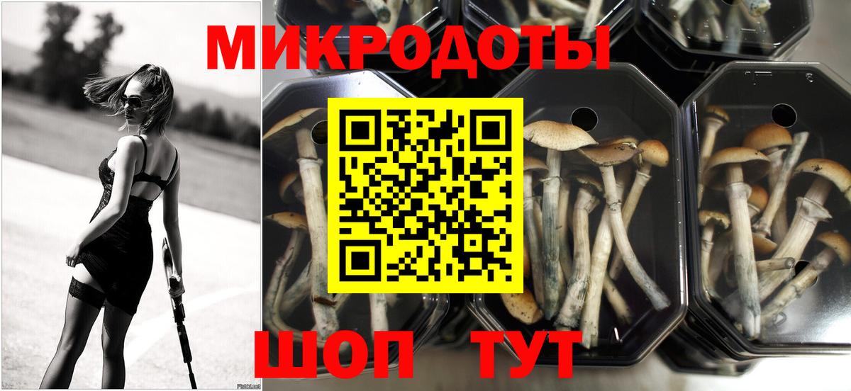 Псилоцибиновые грибы Magic Shrooms Каспийск